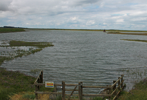 Coastal and Floodplain Grazing Marshes